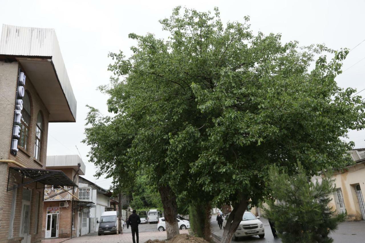 Gulsara Hostel ซามาร์คันด์ ภายนอก รูปภาพ